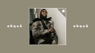 Burna Boy  23 Sped Up ✩ [upl. by Shuma]