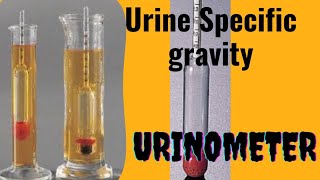 UrinometerSpecific gravity of Urine [upl. by Abbate]