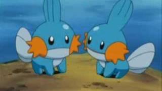 Mudkip The Insane Edition [upl. by Othella]