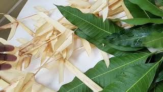 How to make Thoranam Coconut leaf decoration [upl. by Aysan]