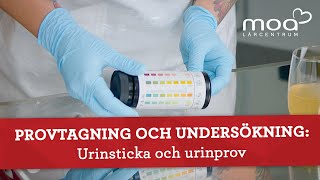 Provtagning och undersökning  Urinsticka och urinprov [upl. by Nomolos]