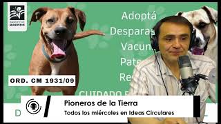 David Telmo  Derechos de los animales en Ideas Circulares 3010 [upl. by Nacnud]