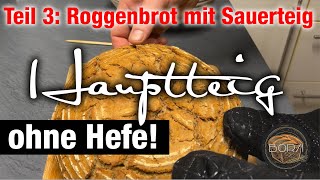 Teil 3 Brotteig fertig machen und backen  Roggenbrot mit Sauerteig und Altbrot Recyceling [upl. by Haidabez]