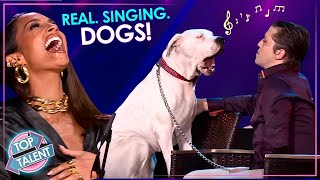 Can Dogs REALLY Sing [upl. by Crespi]