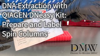 DNA Extraction with QIAGEN DNeasy Kit Prepare and Label Spin Columns [upl. by Airdnaxila918]