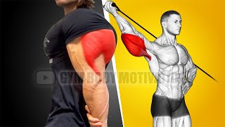 Best Triceps Workout at Gym with Cable Only [upl. by Oler714]