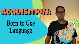 Language Acquisition and Universal Grammar [upl. by Ahsenyl]