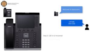 Voicemail  Overview [upl. by Ynnattirb565]