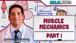 Musculoskeletal System  Muscle Mechanics  Twitch Summation amp Tetanus [upl. by Profant]