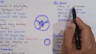 placentation and its types in plants  class bsc Botany [upl. by Drauode]