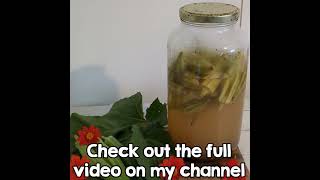 The Best Homemade Dill Pickling Brine Recipe  Refrigerator Pickles shorts [upl. by Dorreg]