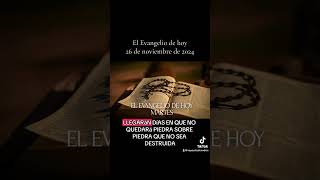 Evangelio de hoy 26112024 [upl. by Hennessy]