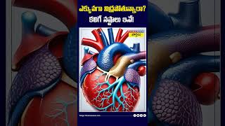 ఎక్కువగా నిద్రపోతున్నారా కలిగే నష్టాలు ఇవే sleep sleeping health shorts [upl. by Togram925]