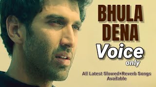 Bhula Dena  SlowedReverb VOCAL Lyrics Song  Aashiqui 2  Aditya Roy Kapur Shraddha Kapoor [upl. by Cornel]