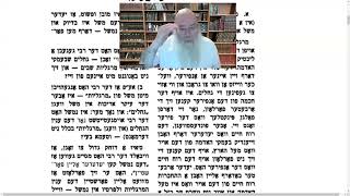 Chelek 20 19 Kislev 1 Rabbi Chaim Wolosow [upl. by Tobye613]