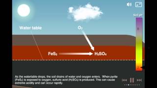 Coastal Acid Sulfate Soils [upl. by Venuti4]