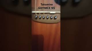 Takamine GD11MCE NS [upl. by Inajar]