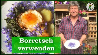 Borretsch ernten und verwenden [upl. by Enitsirhk]