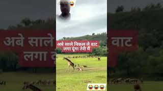 11दम है तो हसी रोक के दिखाओ 🤣😂 youtubeshorts  funnyshorts comedyshorts funnyshort funnyvideos [upl. by Studley]