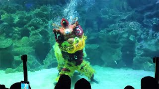 CNY 2024  Aquaria KLCC Under Water Lion Dance  The Reef of Prosperity [upl. by Jovita]