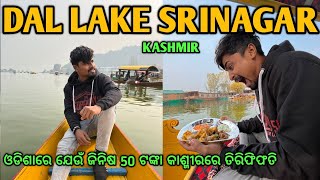 Our First Time In kashmir। । Exploring Srinagar amp Shikara Ride In Dal Lake [upl. by Luy]