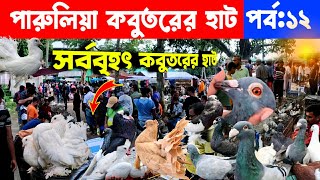 ফেন্সি কবুতরের সর্ববৃহৎ হাট  kobutor hat 2024  pigeon market in bangladesh  fancy pigeon price [upl. by Htez]