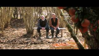 quotMandariinidquot treiler  Tangerines trailer [upl. by Oicnedurp]