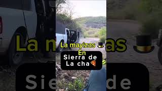 La mayizas están en sierra de la cha🍕 mayitoflaco mexico sinaloa lospshorts lpm [upl. by Trisha]