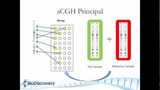 Basic Principles of Array CGH [upl. by Alrahc]