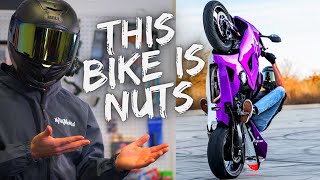 Why Are THESE MOTORCYCLES Becoming Stunt Bikes [upl. by Vashti54]