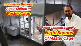 Beautiful Night View Of Master Cage Lohmann Brown Chickens Shifted In Master Cage I M Wahaj Vlogs [upl. by Cato78]