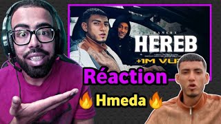 Hameda  Hereb هارب Official Music Video👌 HAMER REACTION ✅ [upl. by Nojid]