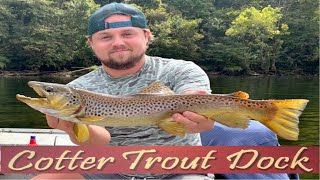 September 18 2024 Arkansas Trout Fishing Report [upl. by Anekam53]