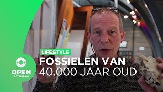 Fossielen van 40 duizend jaar oud op de Tweede Maasvlakte  Lifestyle [upl. by Salamone]