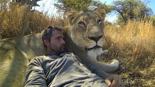 GoPro Lions  The New Endangered Species [upl. by Aremat]