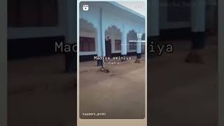 Madarsa darul ulum aminiya [upl. by Leander547]