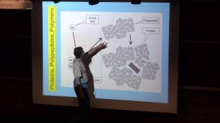 Proteins Polypeptides Polymers part 1 [upl. by Beaner68]