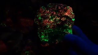 NIGHT TIME DIG FOR FLUORESCENT MINERALS  GLOW IN THE DARK ROCKS [upl. by Kristoffer]