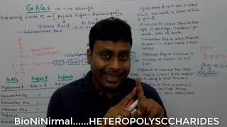 Biochemistry of Carbohydrate Heteropolysaccharides in Bengali [upl. by Astrea440]