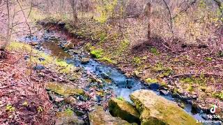 Driftless Creeks [upl. by Grenville864]