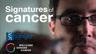 Signatures of cancer  Sanger Institute [upl. by Ahsiekel]