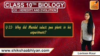 Q33 Why did Mendel select pea plant in his experiment  Heredity and Evolution  CBSE Class 10 Bio [upl. by Nahraf]