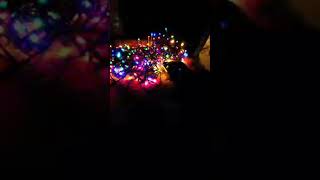 Solar Christmas LightsOutdoor Christmas Lights  Christmas Decoration Light [upl. by Alocin]