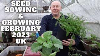 Seed Sowing In February 2023 Gardening Allotment UK Grow Vegetables At Home [upl. by Tanah70]