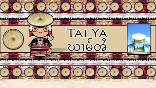 TAI YA LANGUAGE PEOPLE amp CULTURE [upl. by Ahseekan]