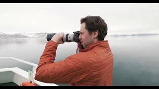 Polar Bears of Spitsbergen [upl. by Urata]