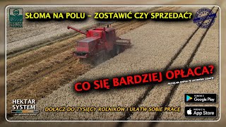 SŁOMA NA POLU  ZOSTAWIĆ CZY SPRZEDAĆ  HEKTAR FARMER  ASYSTENT NPK [upl. by Enajyram]