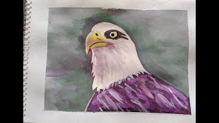 How to Draw a Eagle Head  Eagle Drawing Easy Step by Step  Draw the national Bird of USA [upl. by Boynton895]