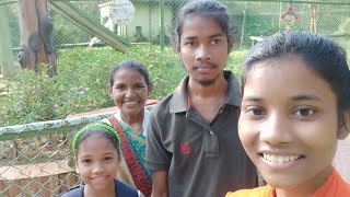 Ormanjhi Zoo Vlog  Ranchi Jh  Divya Binita Minj [upl. by Nifled]