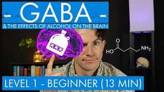 GABA  The Inhibitory Neurotransmitter  Alcohol in the Brain Level 1  beginner [upl. by Atirahc]